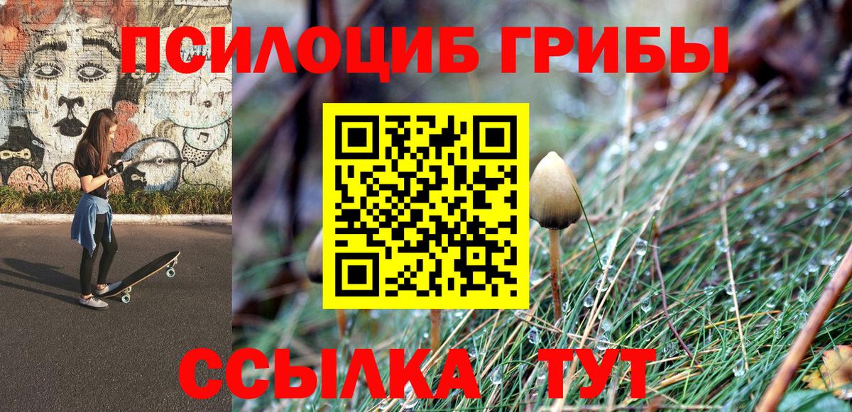 Омск  Псилоцибиновые грибы Psilocybe  Вход с VPN  Галлюциногенные грибы мицелий 
